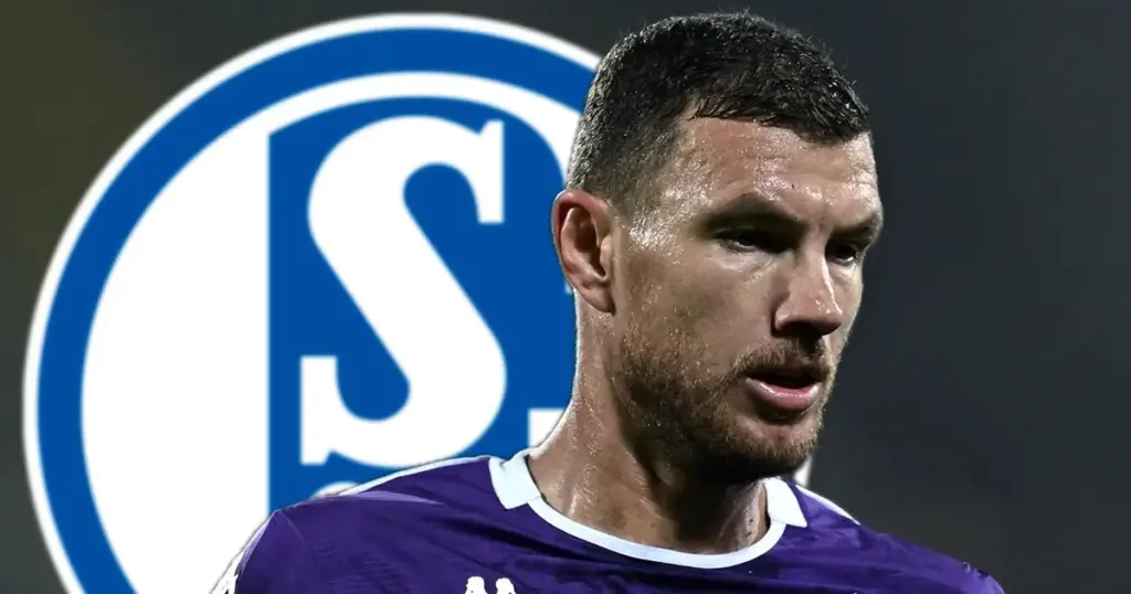 Njemački nogometni savez kaznio Edina Džeku